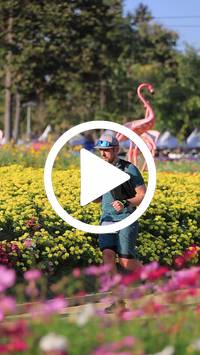 BIB:  <button type="button" onclick="openModal(27588580)" class="btn btn-primary btn-sm float-right" data-toggle="modal" data-target=".modal-high-quality">
                <i class="fa fa-download"></i> Download
                </button>